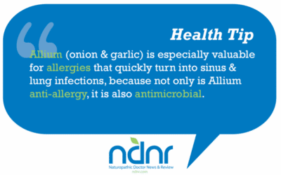 Review of Herbs for Allergies: Important Options to Remember