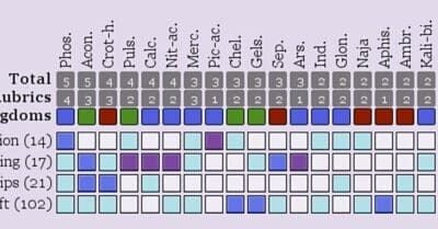 From Fixing to Flourishing