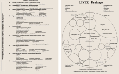 Assessing and Treating Blockages to Healing