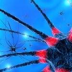 Neuroinflammation & Lyme Disease