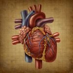Case Studies: Homeopathic Care for Cardiovascular Disease