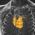 The ‘Heart’ of Natural Medicine: A Case Study