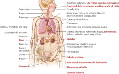 Tobacco Smoking: Impacts on Health and Tips for Cessation