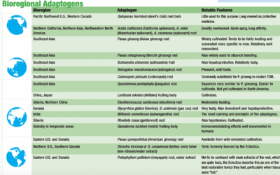 Choosing Among Adaptogen Herbs