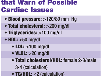Getting Your Practice to the Next Level