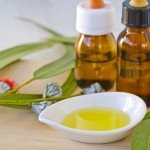 Eucalyptus Oil: A Possible Aid for Cancer Patients