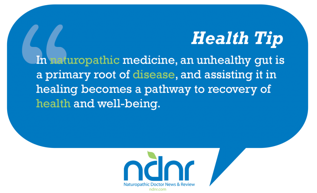 In naturopathic medicine an unhealthy gut is a primary root of disease and assisting it in healing becomes a pathway to recovery of health and well-being
