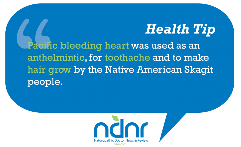 Pacific bleeding heart was used as an anthelmintic for toothache and to make hair grow by the Native American Skagit people