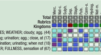 Urinary Pain and a Peculiar Symptom Can a Definite Result in an Acute Case Confirm the Similitude of a Chronic Case?