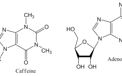 Managing Caffeine Withdrawal in the Patient Undergoing Detoxification