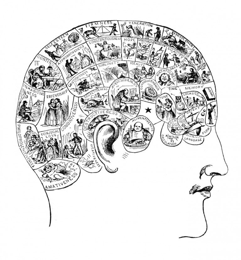 The Use of Phrenology in Naturopathy – Naturopathic Doctor News and Review