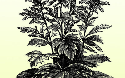 Constipation: Getting Things Moving