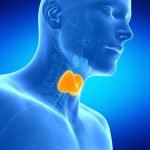 “Thyroid, Adrenals, and More”: Reconciling Diverse Information From a Conference