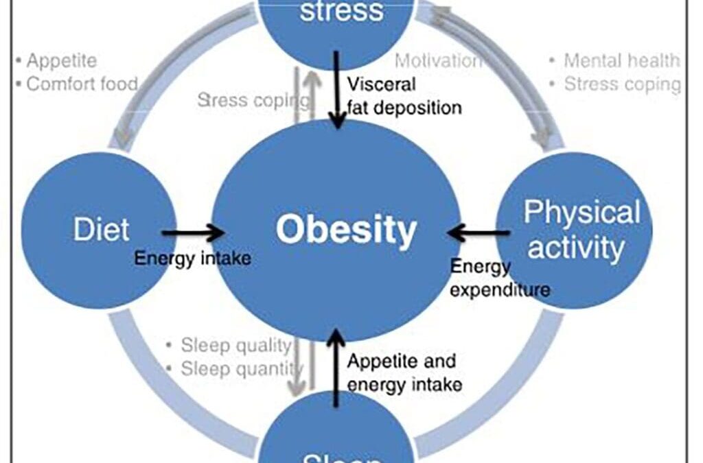 Integrative Lifestyle Change: Reducing Obesogenic Stress