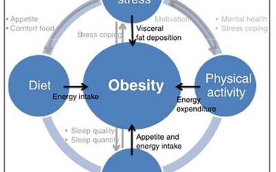 Integrative Lifestyle Change: Reducing Obesogenic Stress
