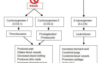 Tolle Totum: Advil is Safe, Right?