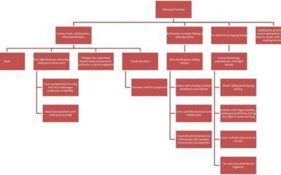 Resting the Shen: Refining Treatment of Sleep Disturbance Using TCM
