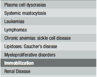 Maintaining Healthy Bones: Embracing the Plants