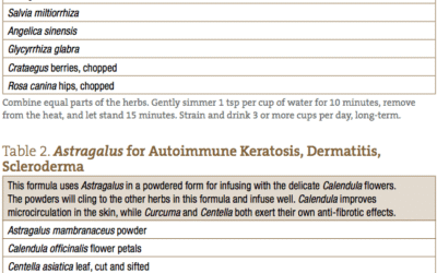 Astragalus: Use of the Herb in the Treatment of Allergy & Autoimmunity