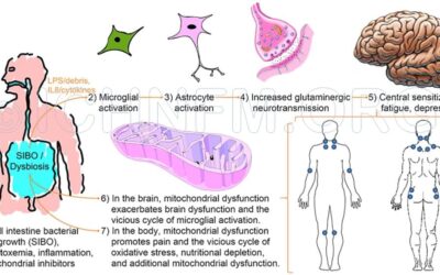 Microbial Origins  of Fibromyalgia