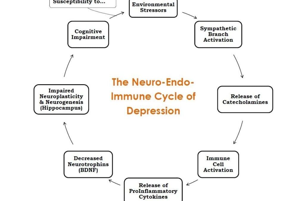 Mood Disorders: How Understanding Underlying Mechanisms Enhances Patient Outcomes