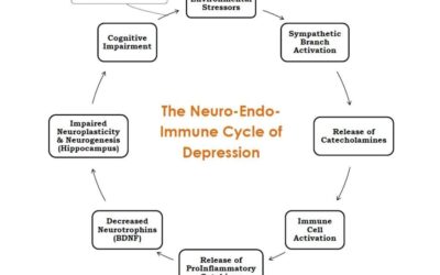 Mood Disorders: How Understanding Underlying Mechanisms Enhances Patient Outcomes