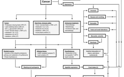 Cancer Cachexia in the Elderly: The Role of Nutritional Supplementation