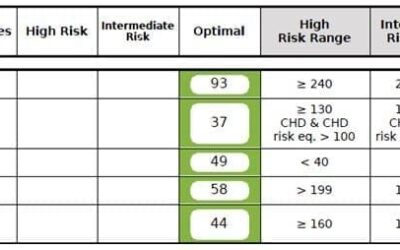 Case Study of Metabolic Syndrome:  Naturopathic Treatment Approaches (Part 2)