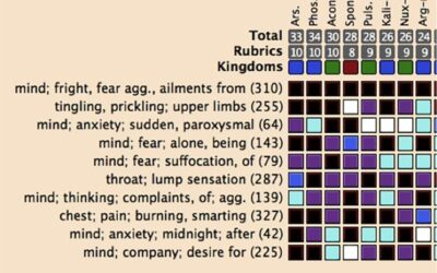 Homeopathy: An Ally of Anxiety