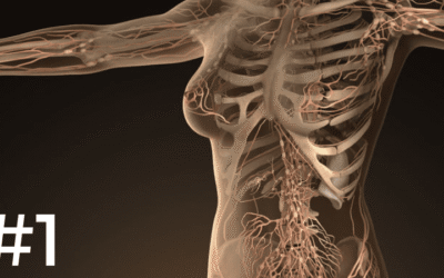 NDNR’s Top 10 Most “GOOGLED” Health Articles in 2018