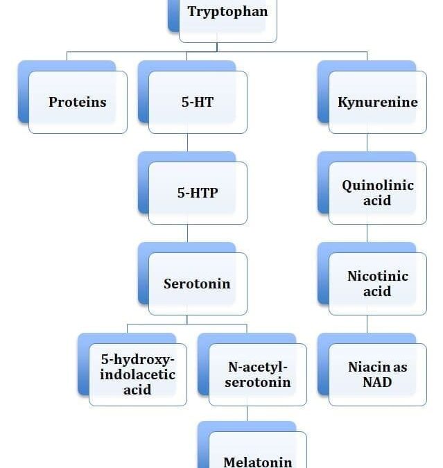 Clostridia & Constipation: Using Organic Acid Testing in Diagnosis & Treatment