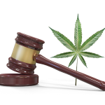 US Cannabis Regulation: What It Means for Naturopathic Doctors