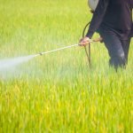 GMO Crops & Glyphosate: Detrimental Effects on Health
