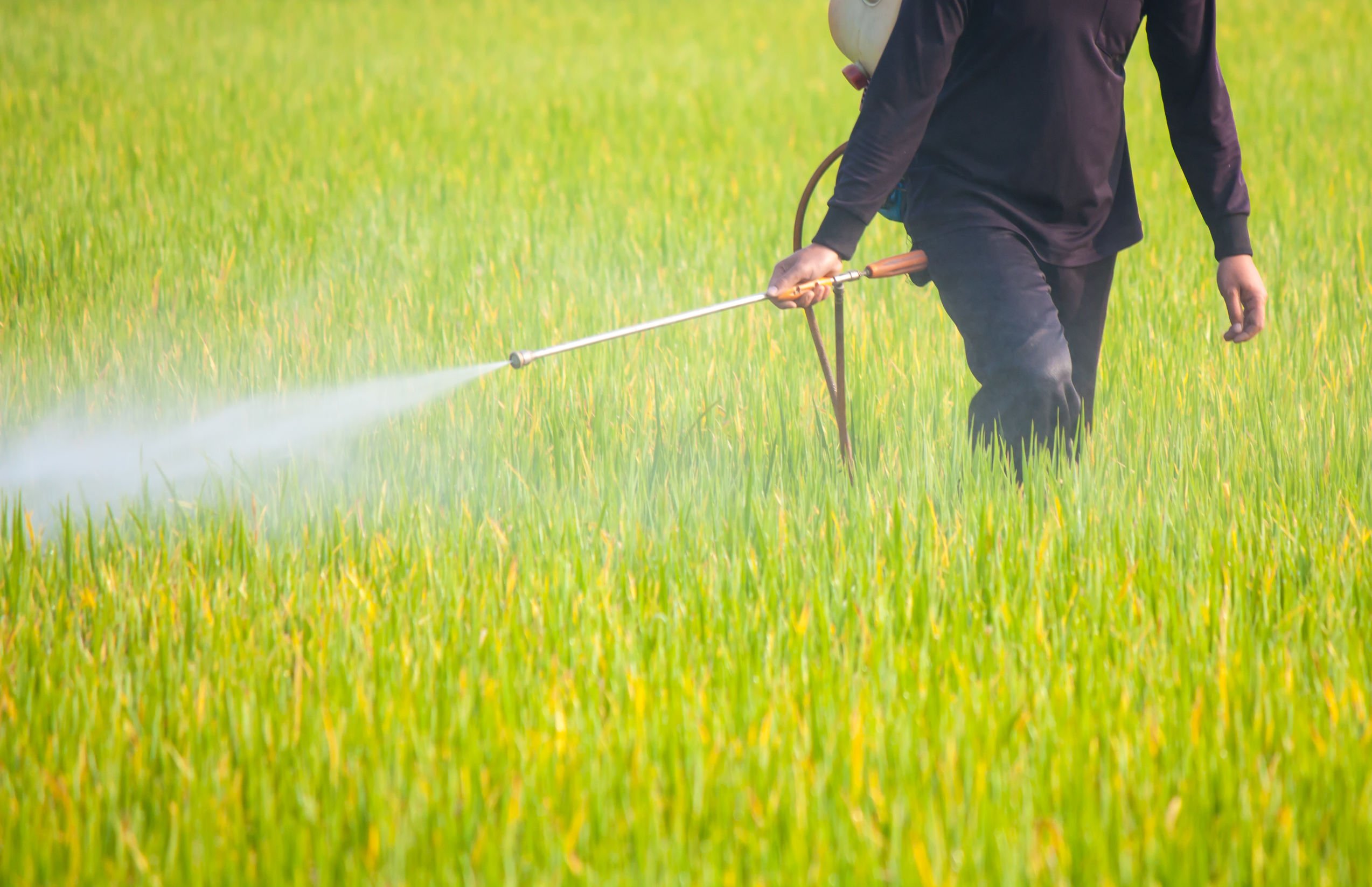 Gmo Crops And Glyphosate Detrimental Effects On Health Naturopathic