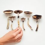 Legislation to Decriminalize Psilocybin Mushrooms in the Works
