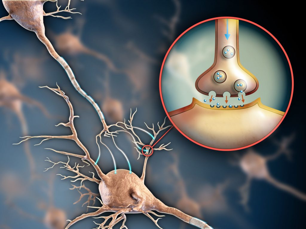 Serotonin May Play Role in Reacting to Emergency Situations