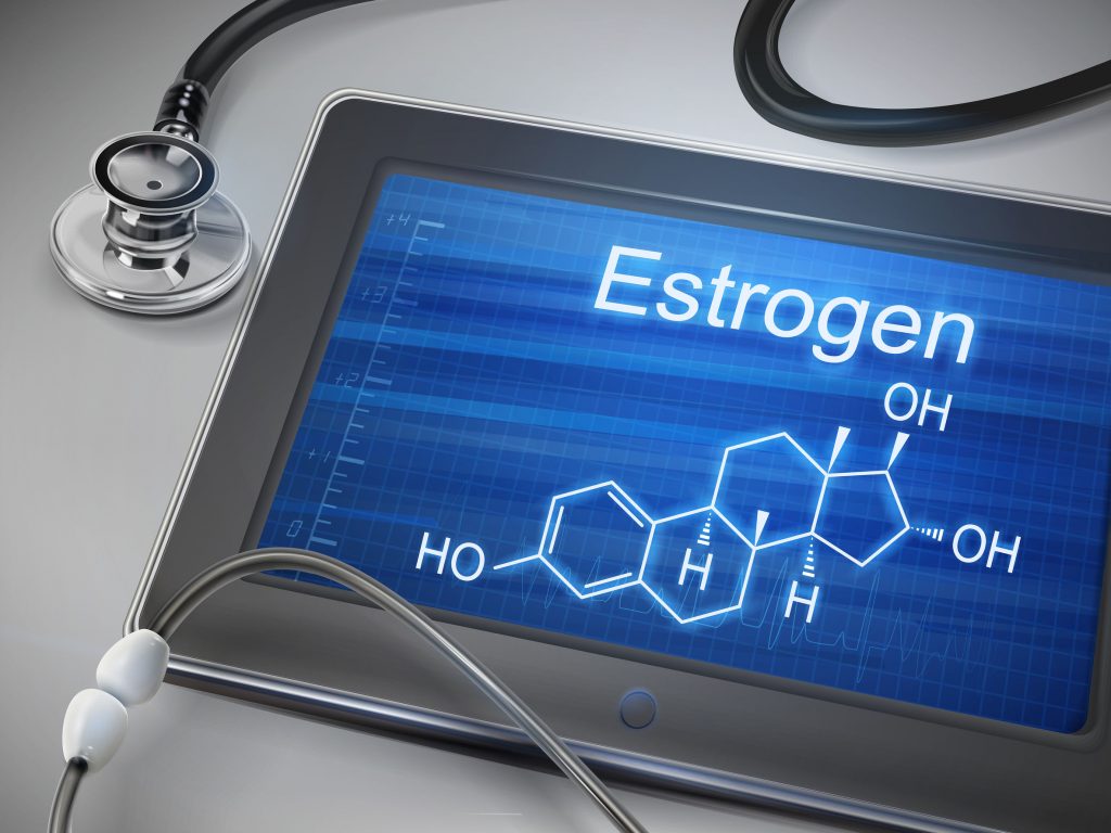 Neurons Make Estrogen, and it Affects Memory