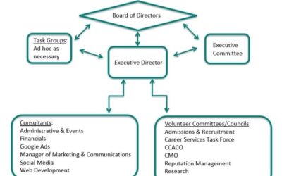 The AANMC at 20: Crossing to the Next Decade