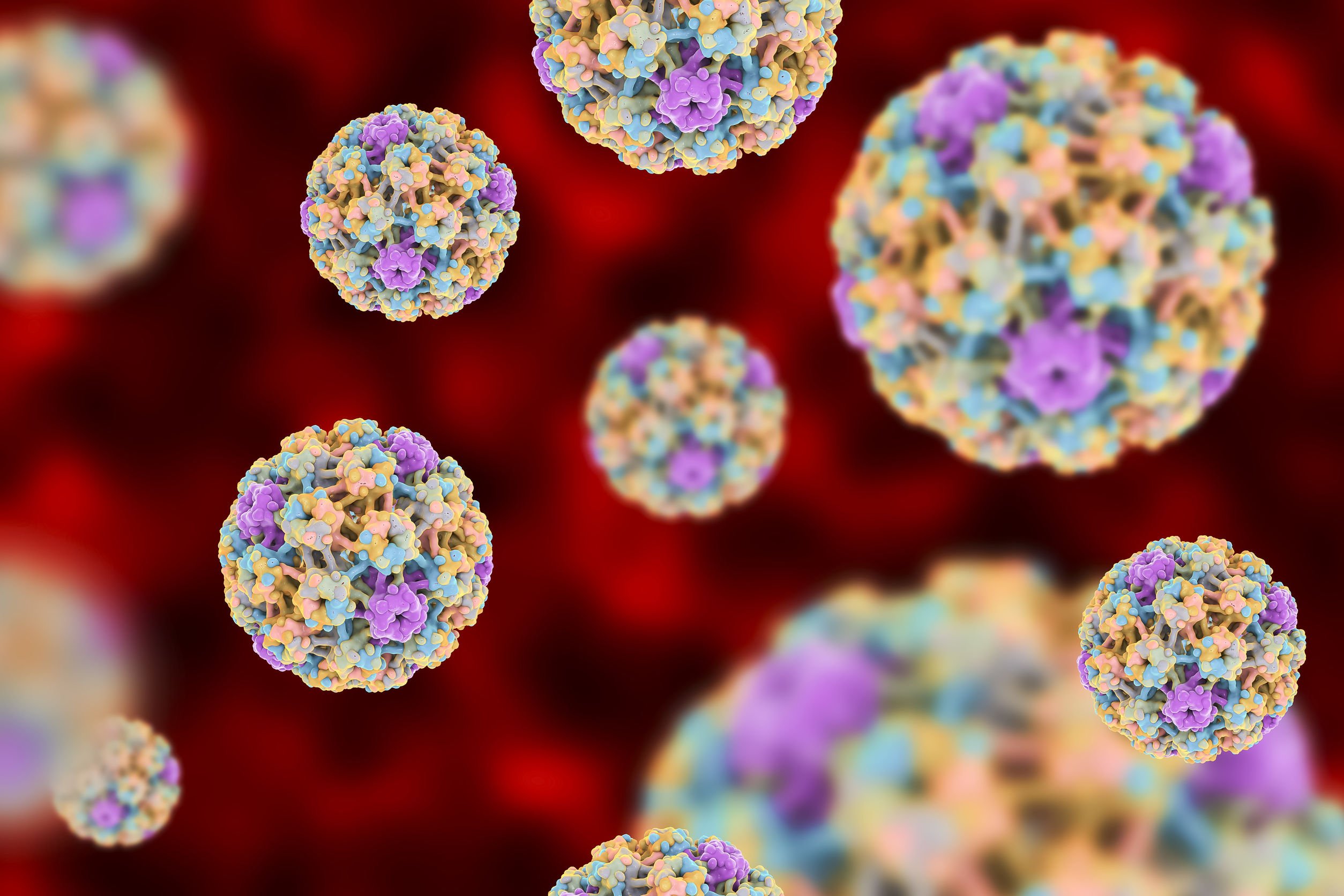 emberi papillomavírus fertőzés életciklusa akár férgek kezelésére, akár nem