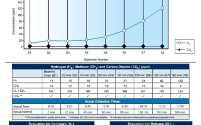 SIBO in a Young Woman: A Cure with Botanical Medicine