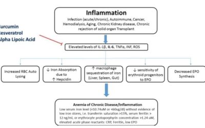 Anemia of Chronic Disease: Treatment with Lipoic Acid, Resveratrol, & Curcumin