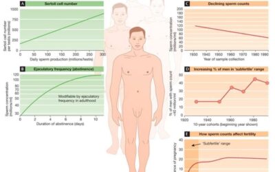 Love & Male Factor Infertility: What’s Oxytocin Got to Do with It?