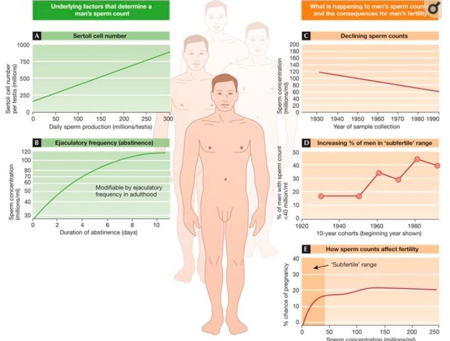 Love & Male Factor Infertility: What’s Oxytocin Got to Do with It?