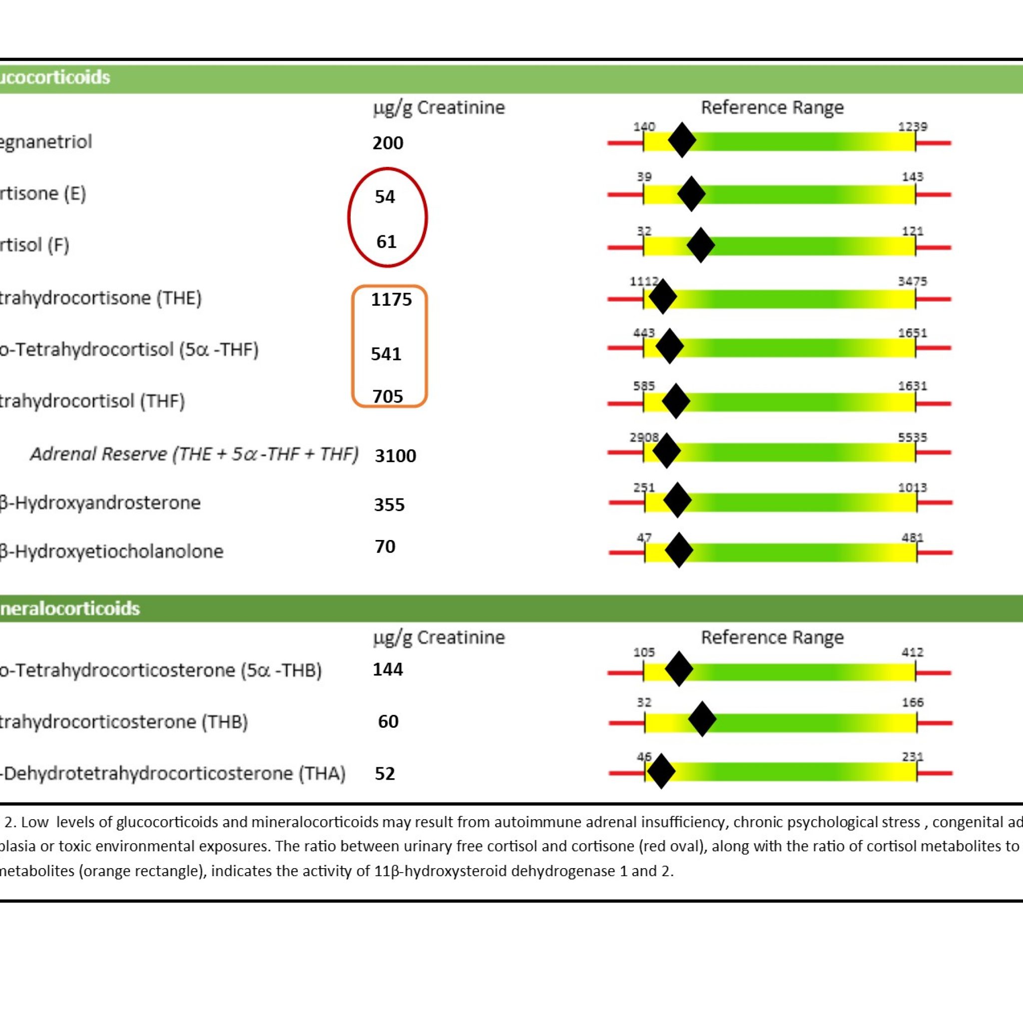 Adrenal Fatigue: Environmentally Induced Adrenal Hypofunction?