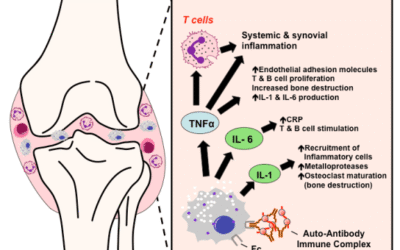 Joint Pain, Alcohol, & NSAIDs: Harnessing the Power of Our Plant Allies