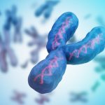 Men’s “Y” Chromosome Does More than Thought