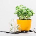 Integration? Or Asset Stripping? Naturopathic Modalities Without the Profession