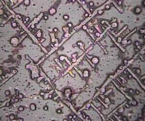 Water Quality: Science Fiction or Science Fact?