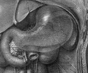 The Microbial Endocrine System