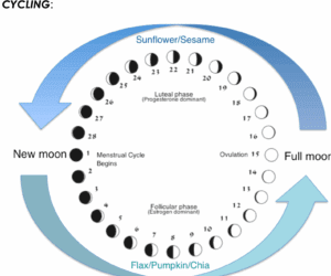 Treating Infertility: A Whole-Body Approach Including Mayan Uterine Massage & Seed Cycling